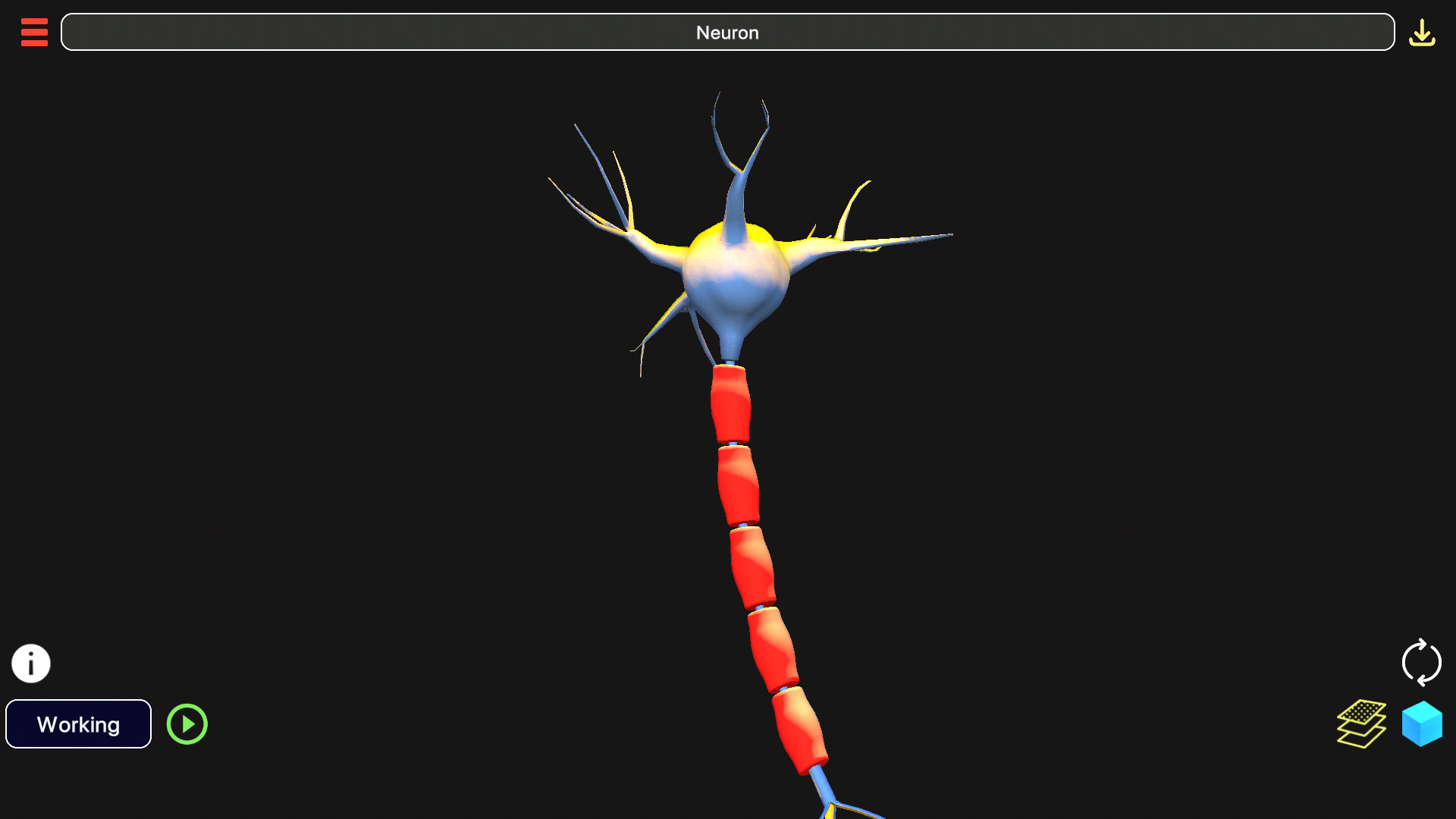 اسکرین شات 4 برنامه 3D Biology +