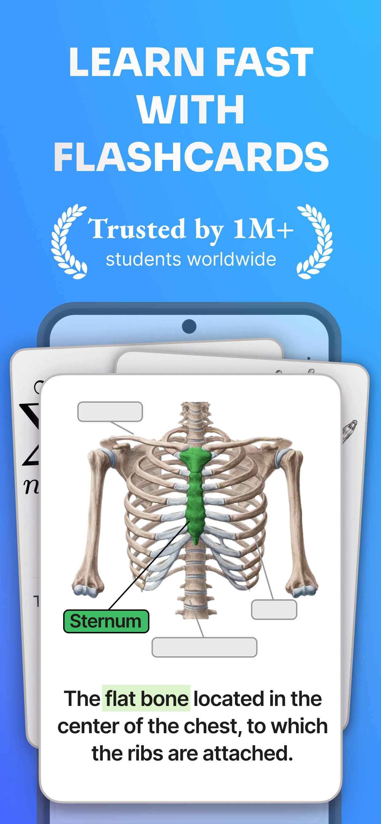 اسکرین شات 1 برنامه Noji: Study with Flashcards