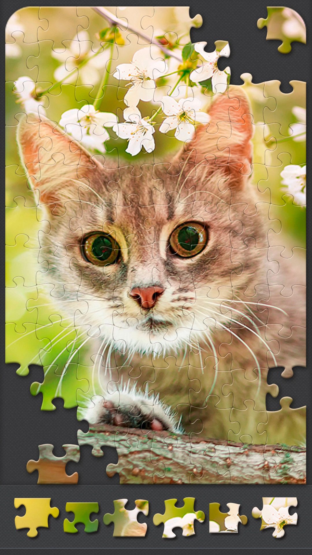 اسکرین شات 5 بازی Jigsaw Puzzles for Adults