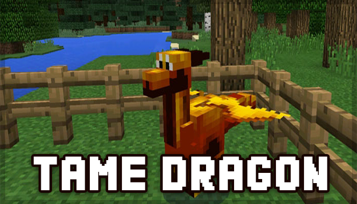 اسکرین شات 3 برنامه Mod dragon for Minecraft PE