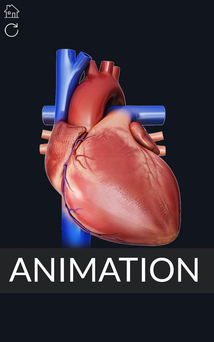 اسکرین شات 8 برنامه Circulatory System Anatomy
