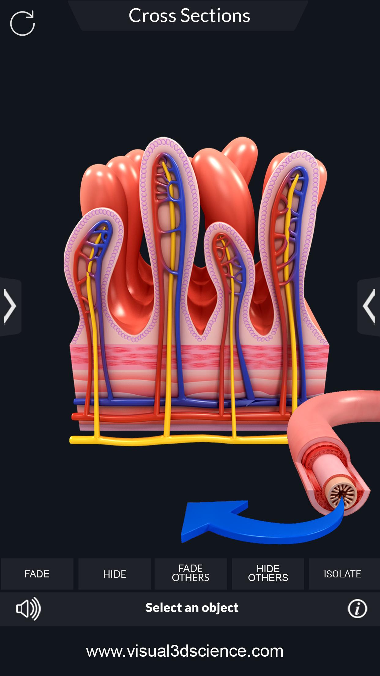 اسکرین شات 8 برنامه Digestive System