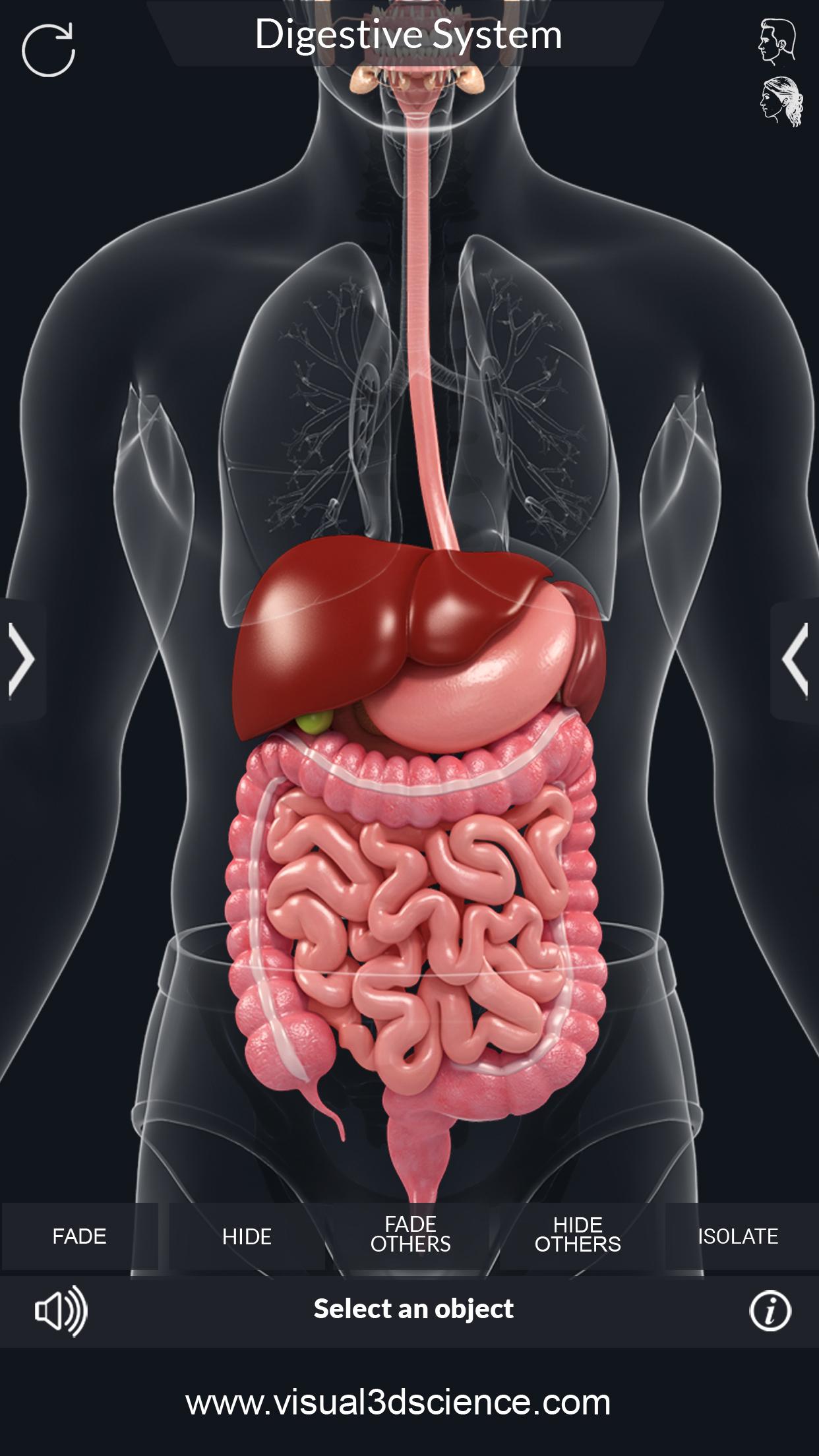 اسکرین شات 3 برنامه Digestive System