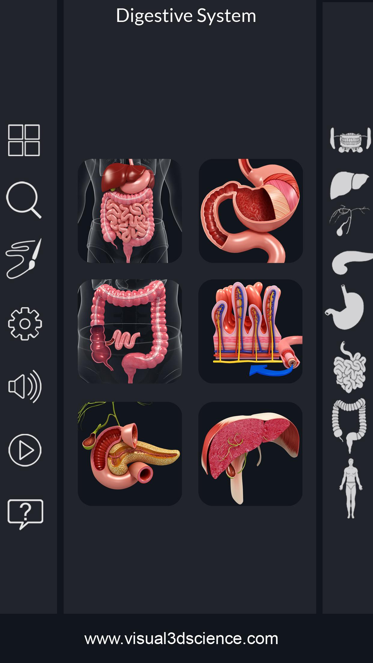 اسکرین شات 1 برنامه Digestive System