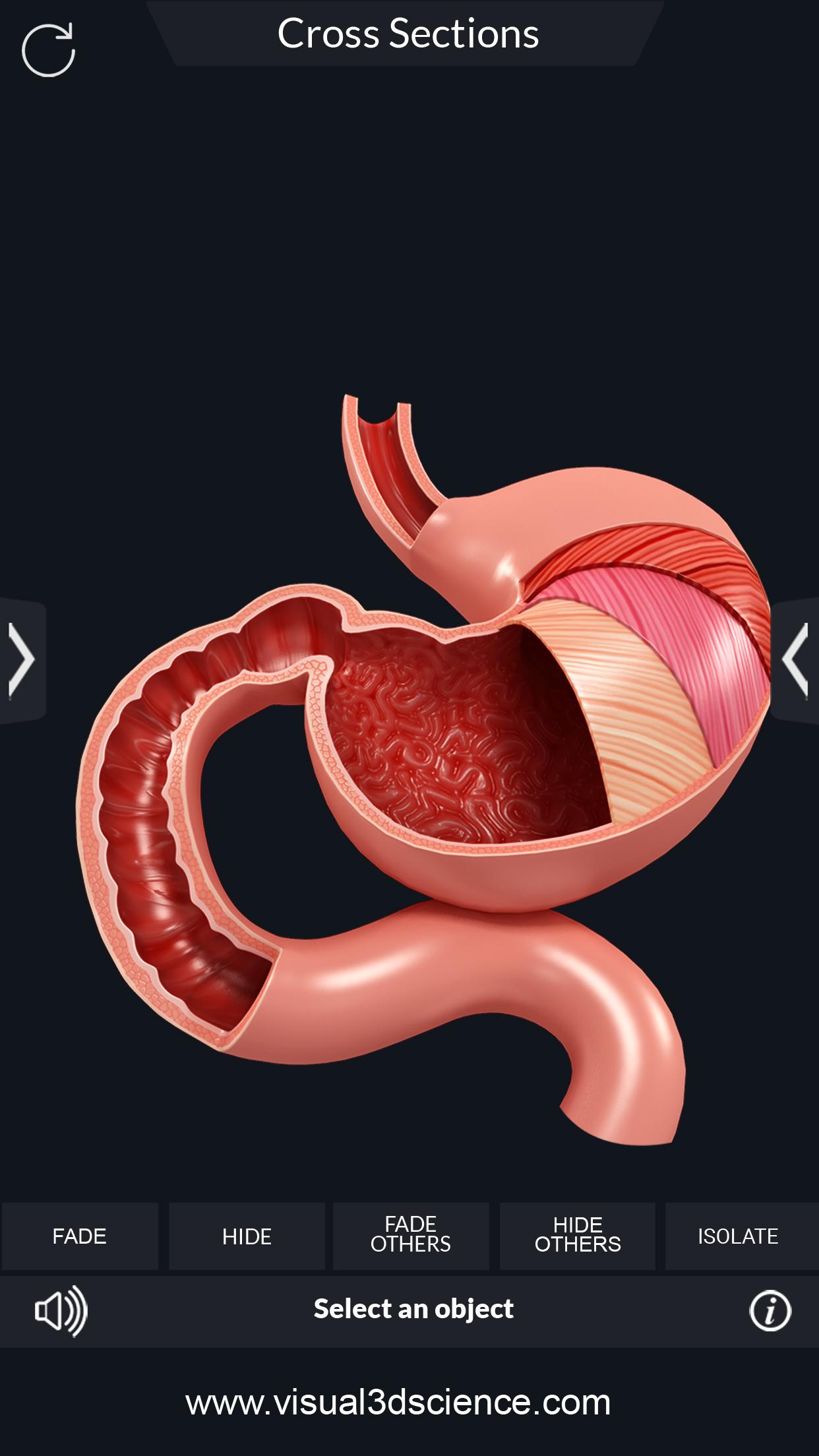 اسکرین شات 6 برنامه Digestive System