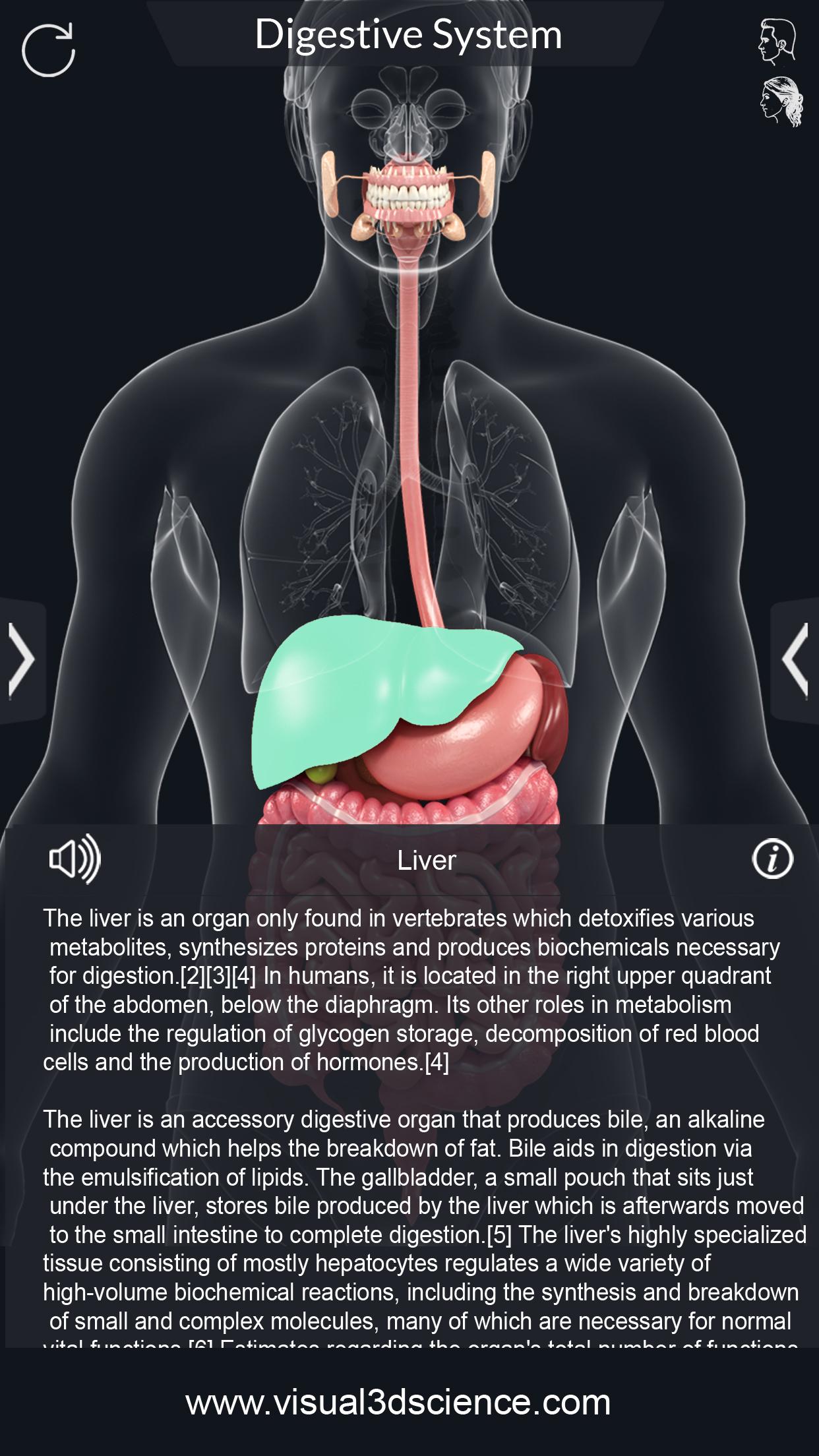 اسکرین شات 4 برنامه Digestive System