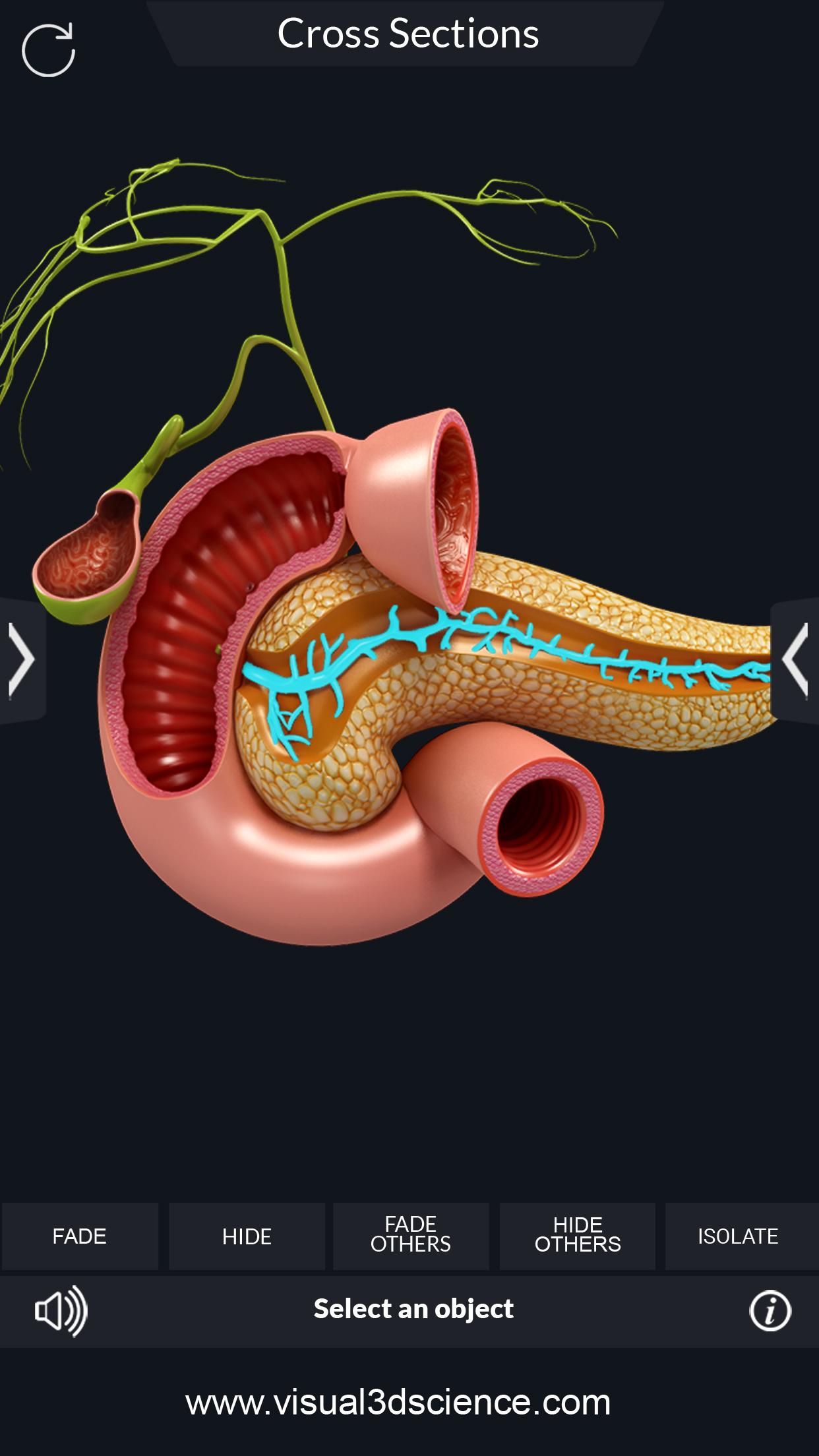 اسکرین شات 7 برنامه Digestive System