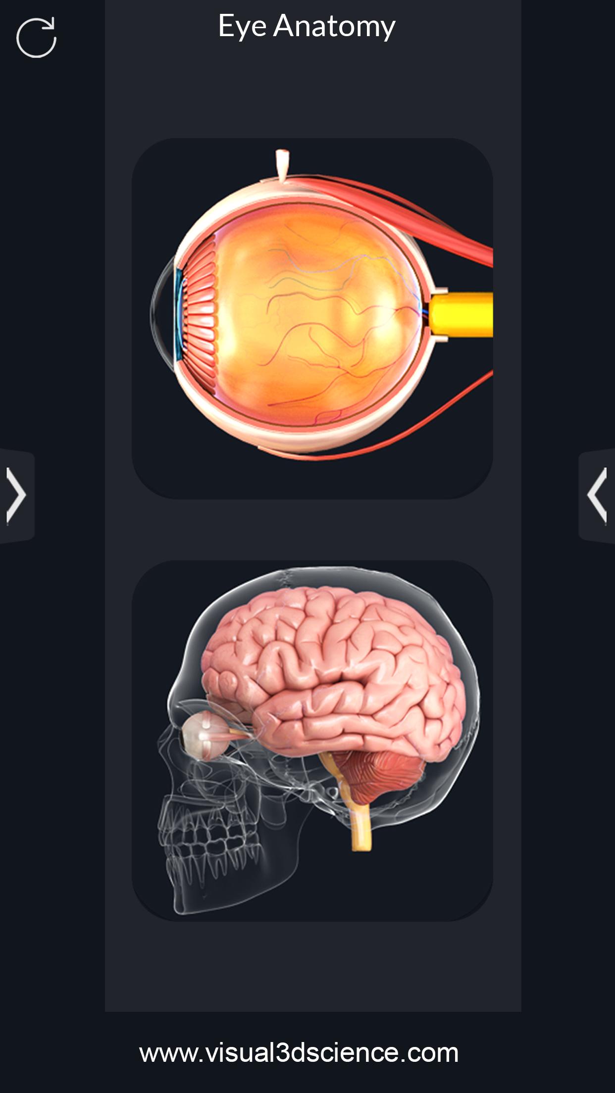 اسکرین شات 2 برنامه My Eye Anatomy