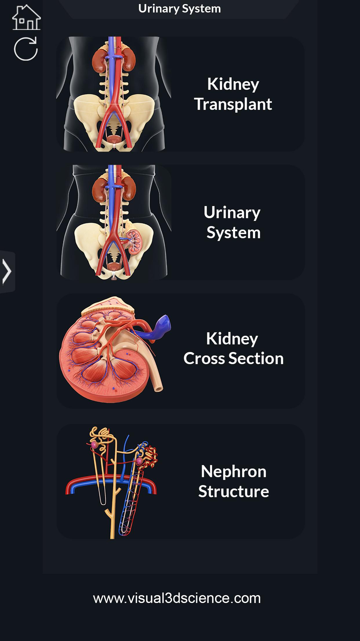 اسکرین شات 2 برنامه My Urinary System