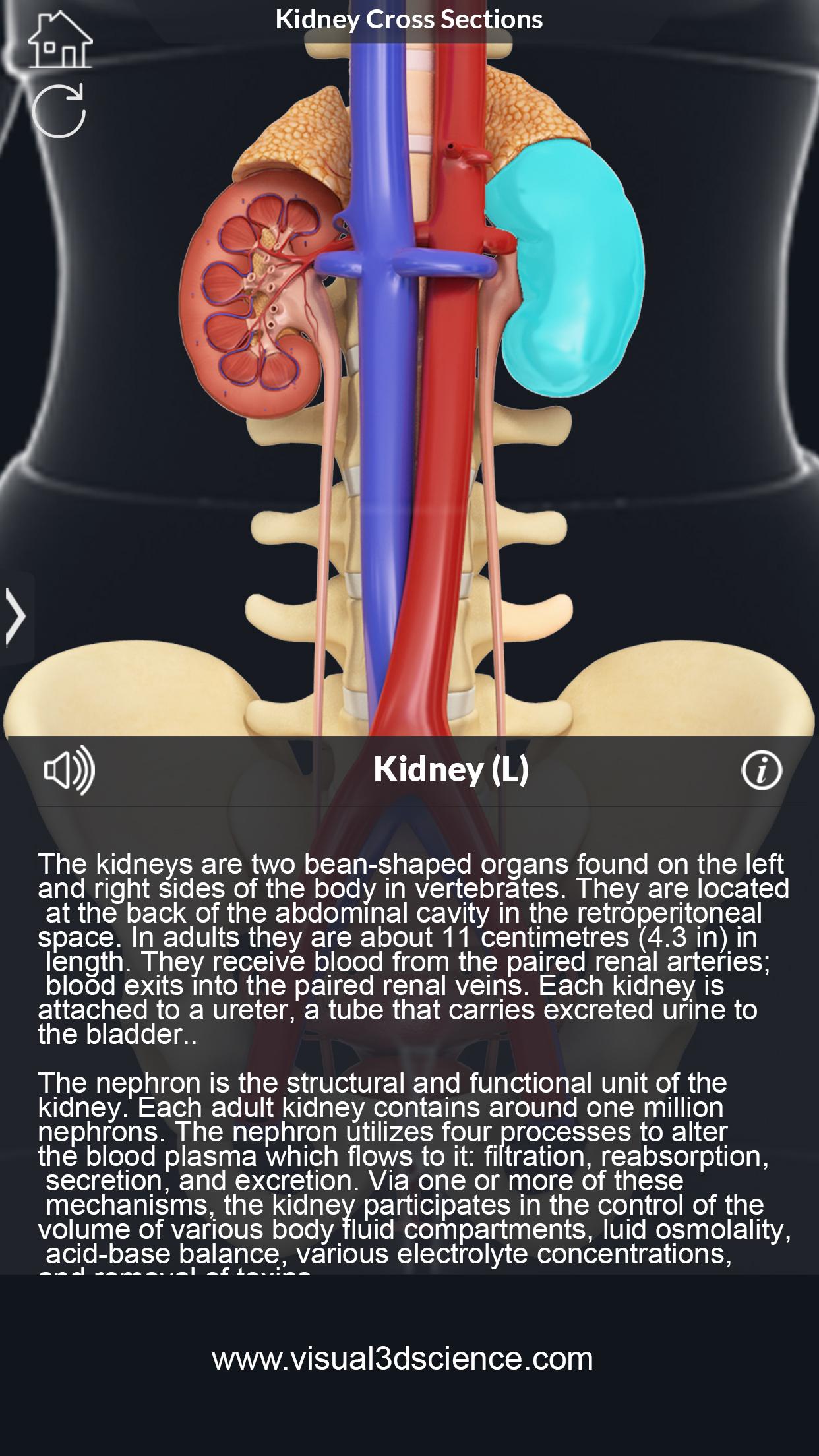 اسکرین شات 5 برنامه My Urinary System