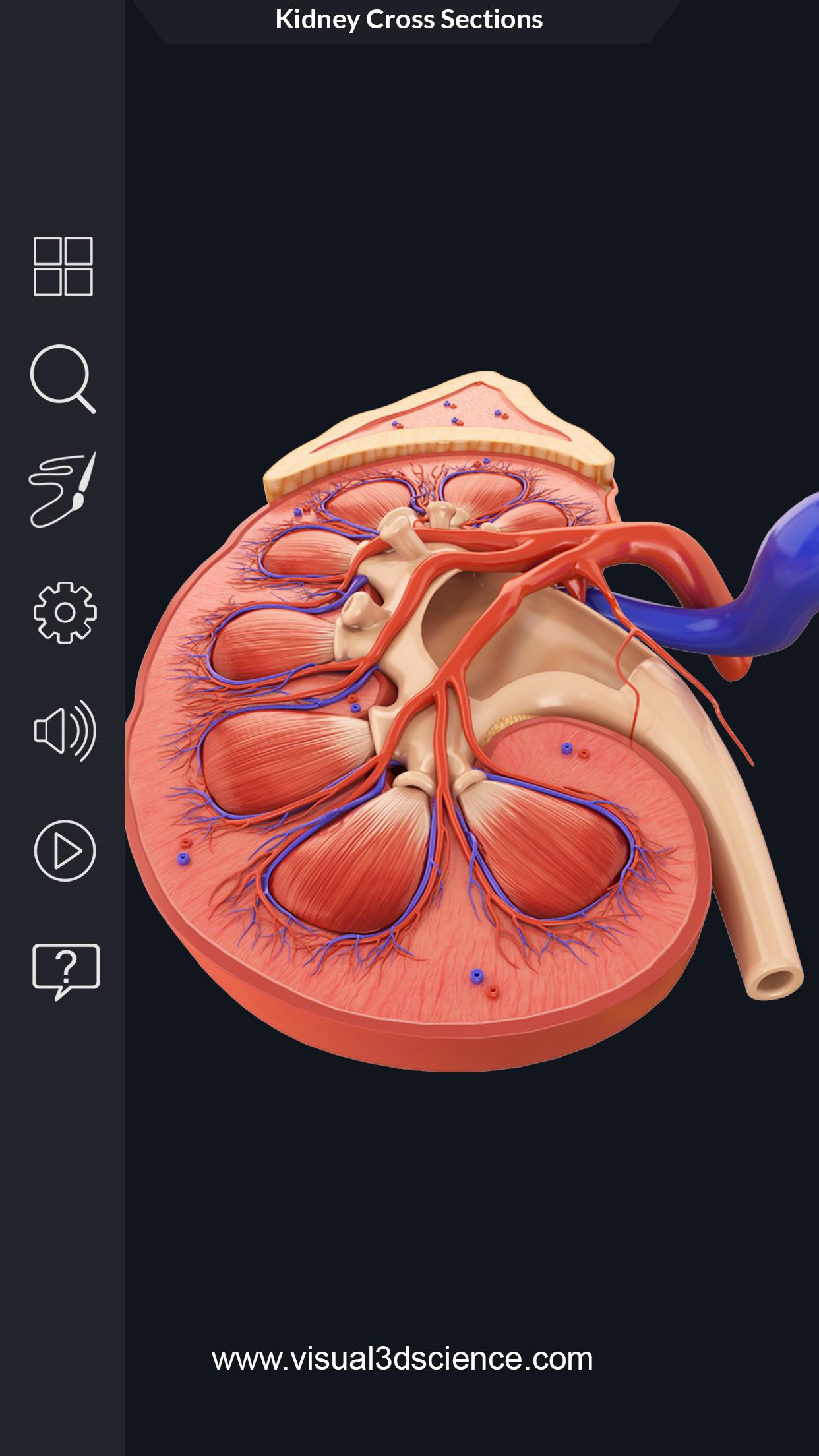 اسکرین شات 3 برنامه My Urinary System