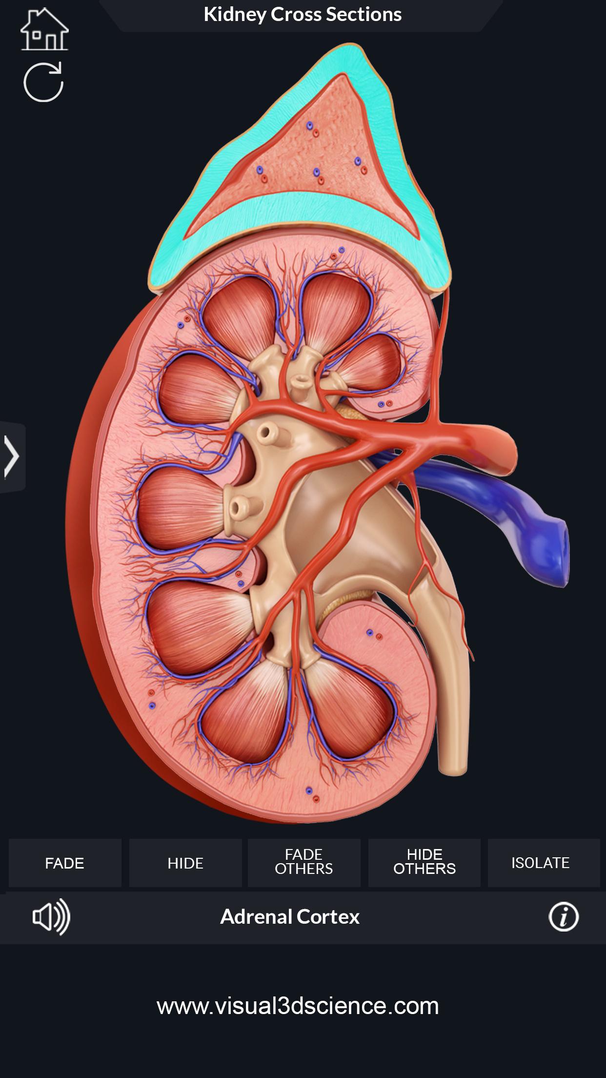 اسکرین شات 4 برنامه My Urinary System