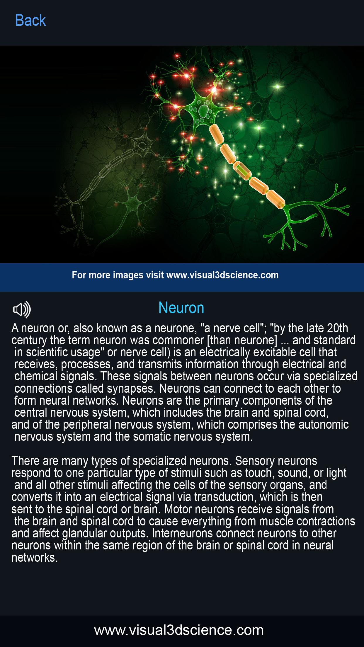اسکرین شات 5 برنامه My Brain Anatomy