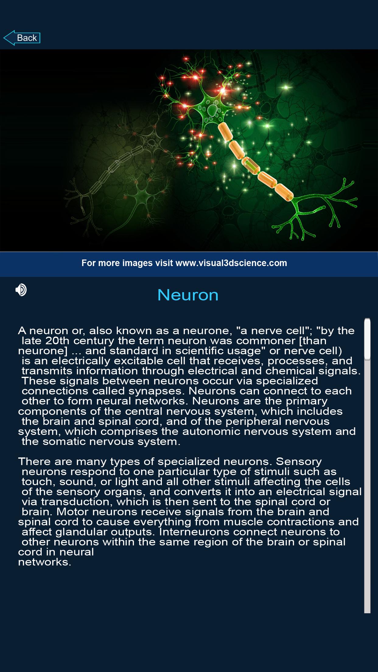 اسکرین شات 7 برنامه Brain Anatomy Pro.