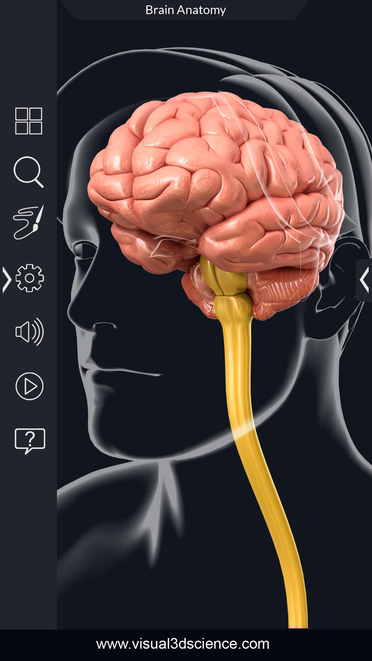 اسکرین شات 2 برنامه Brain Anatomy Pro.