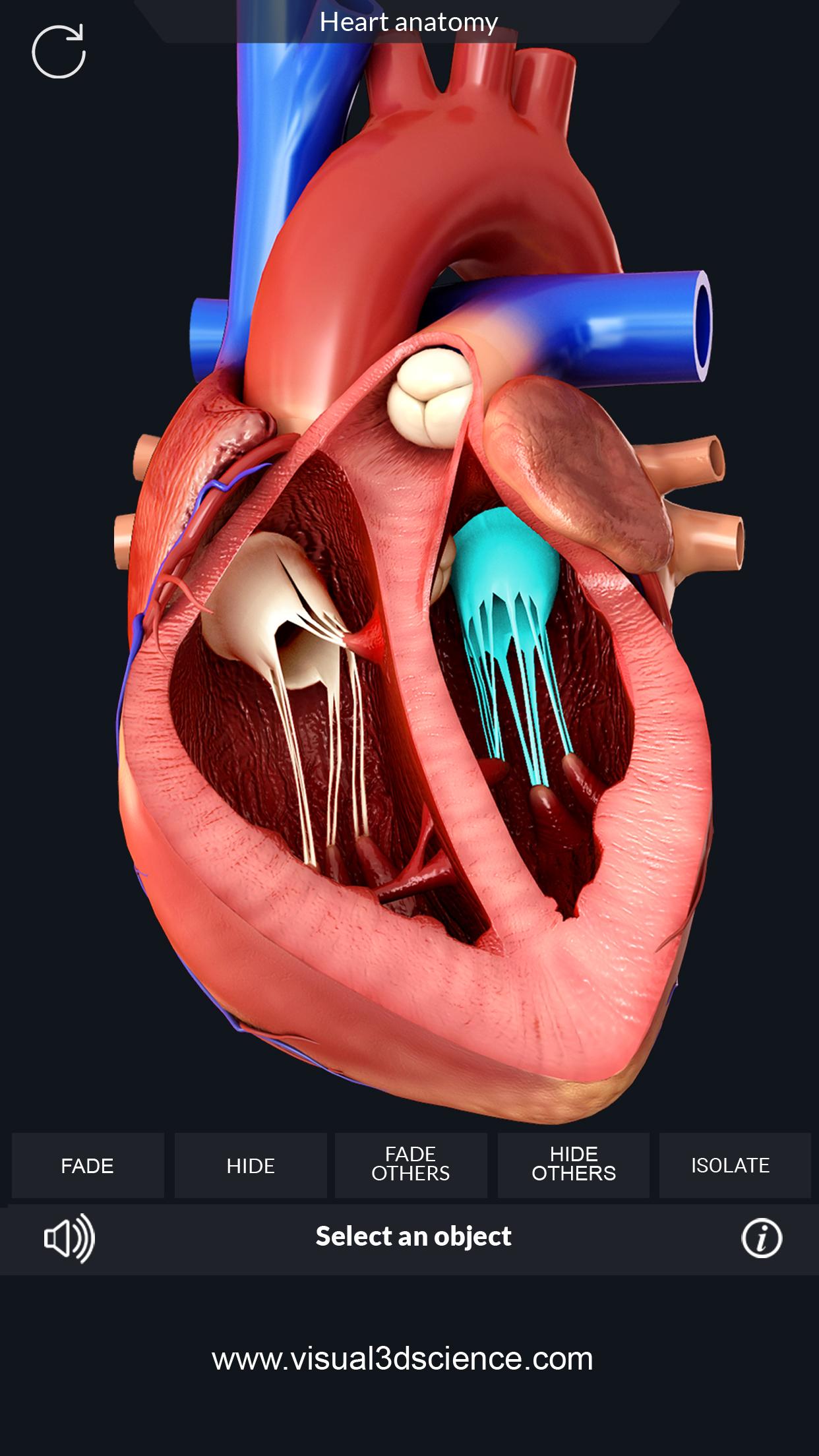 اسکرین شات 2 برنامه Heart Anatomy Pro.