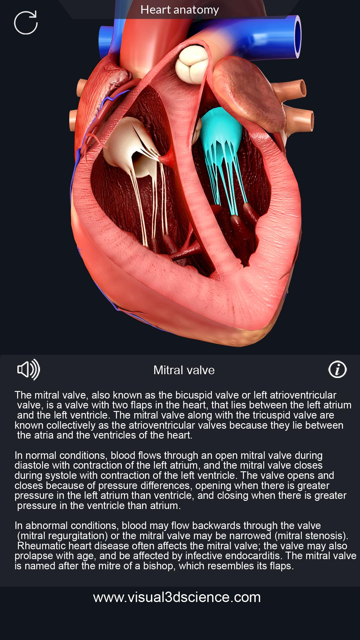 اسکرین شات 3 برنامه Heart Anatomy Pro.