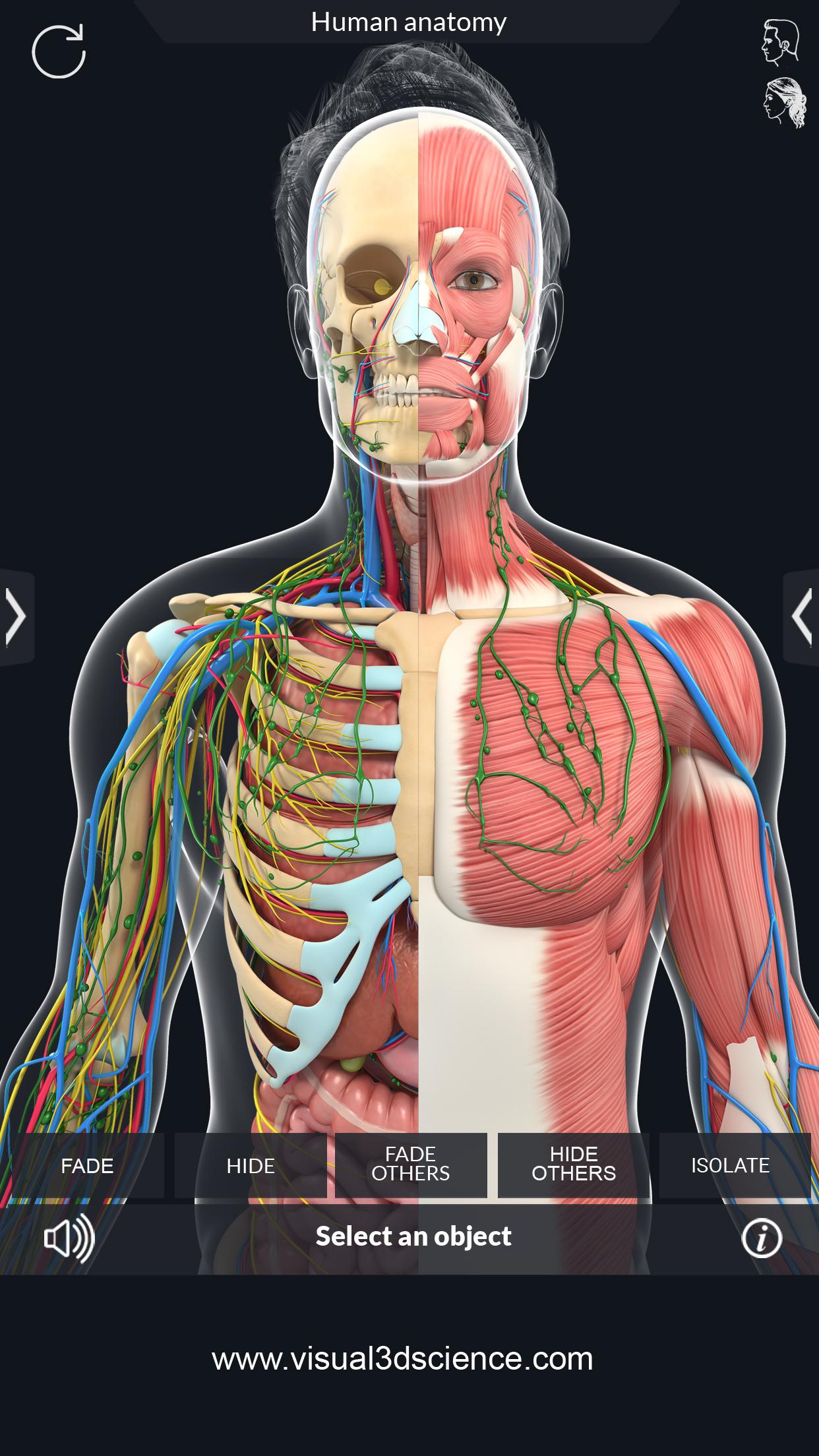 اسکرین شات 5 برنامه Human Anatomy