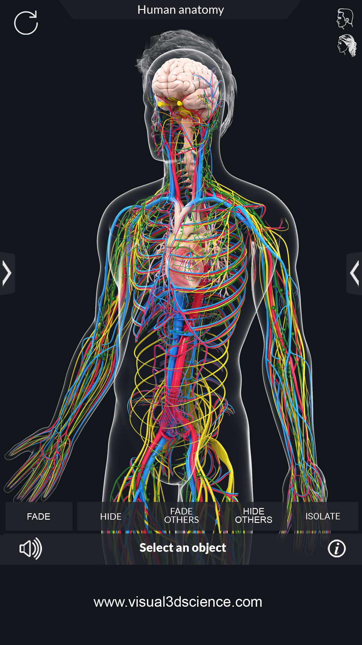 اسکرین شات 8 برنامه Human Anatomy