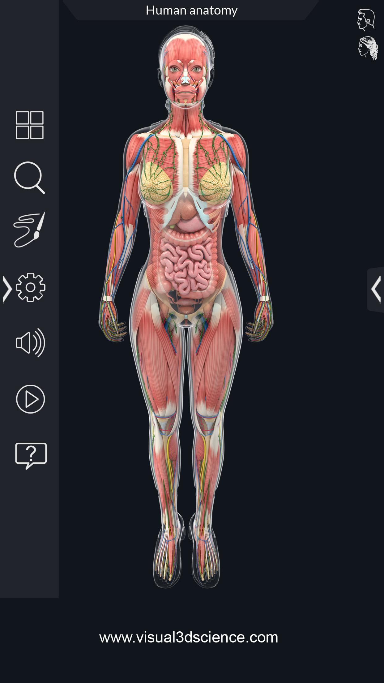 اسکرین شات 4 برنامه Human Anatomy