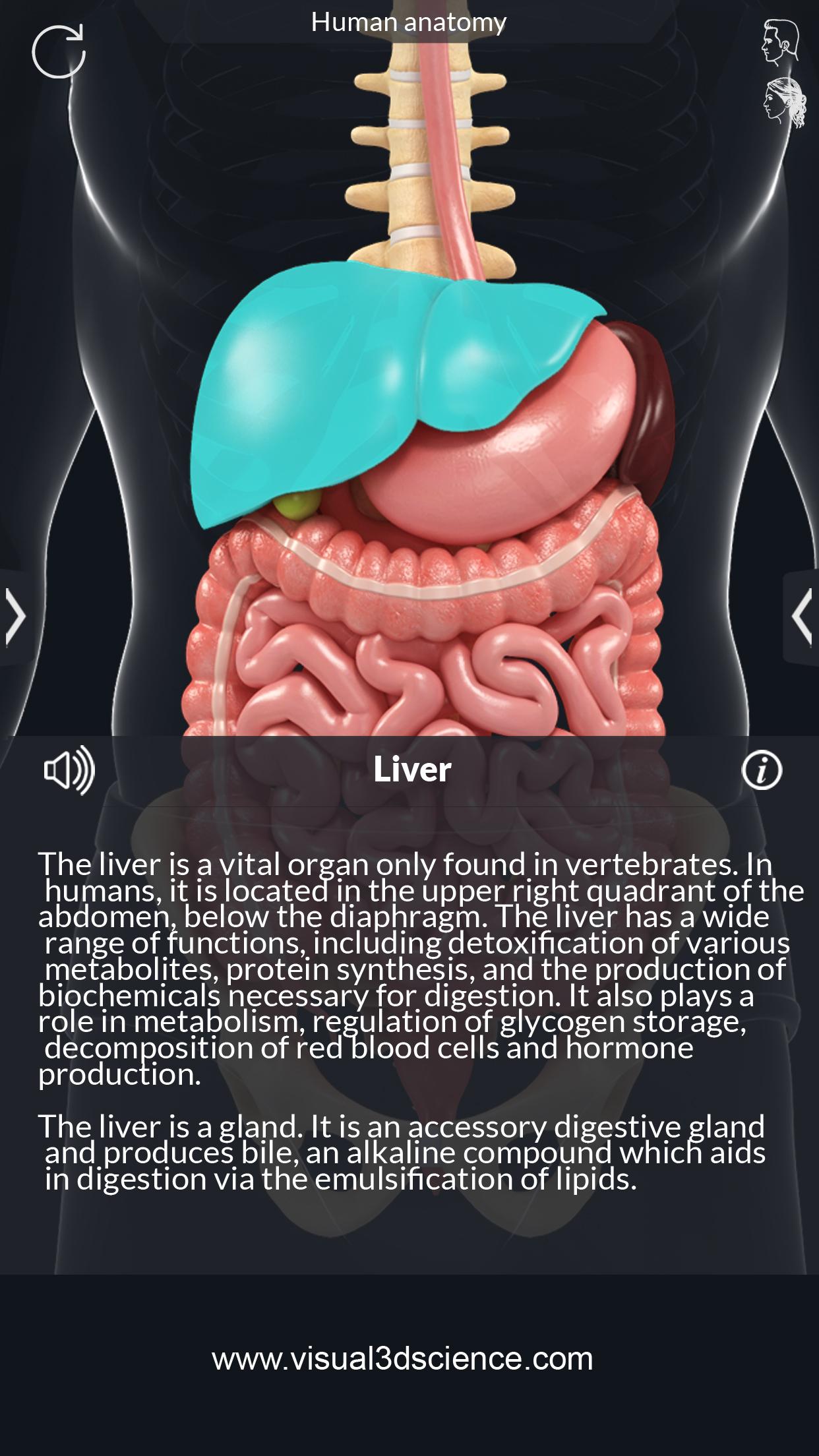 اسکرین شات 7 برنامه Human Anatomy