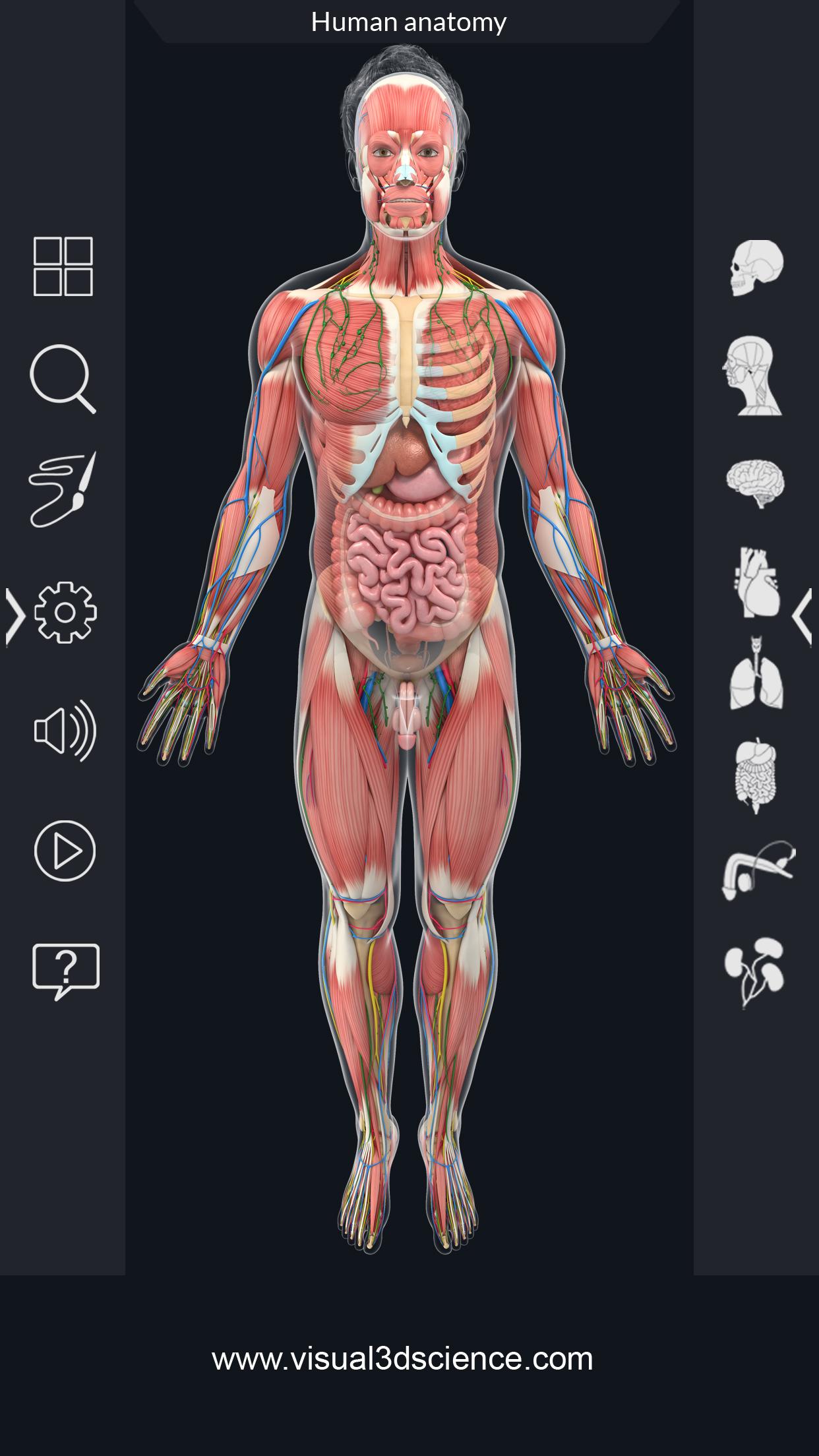 اسکرین شات 3 برنامه Human Anatomy