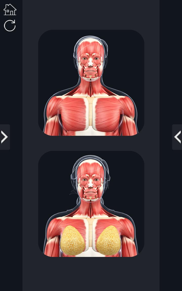 اسکرین شات 1 برنامه My Muscle Anatomy