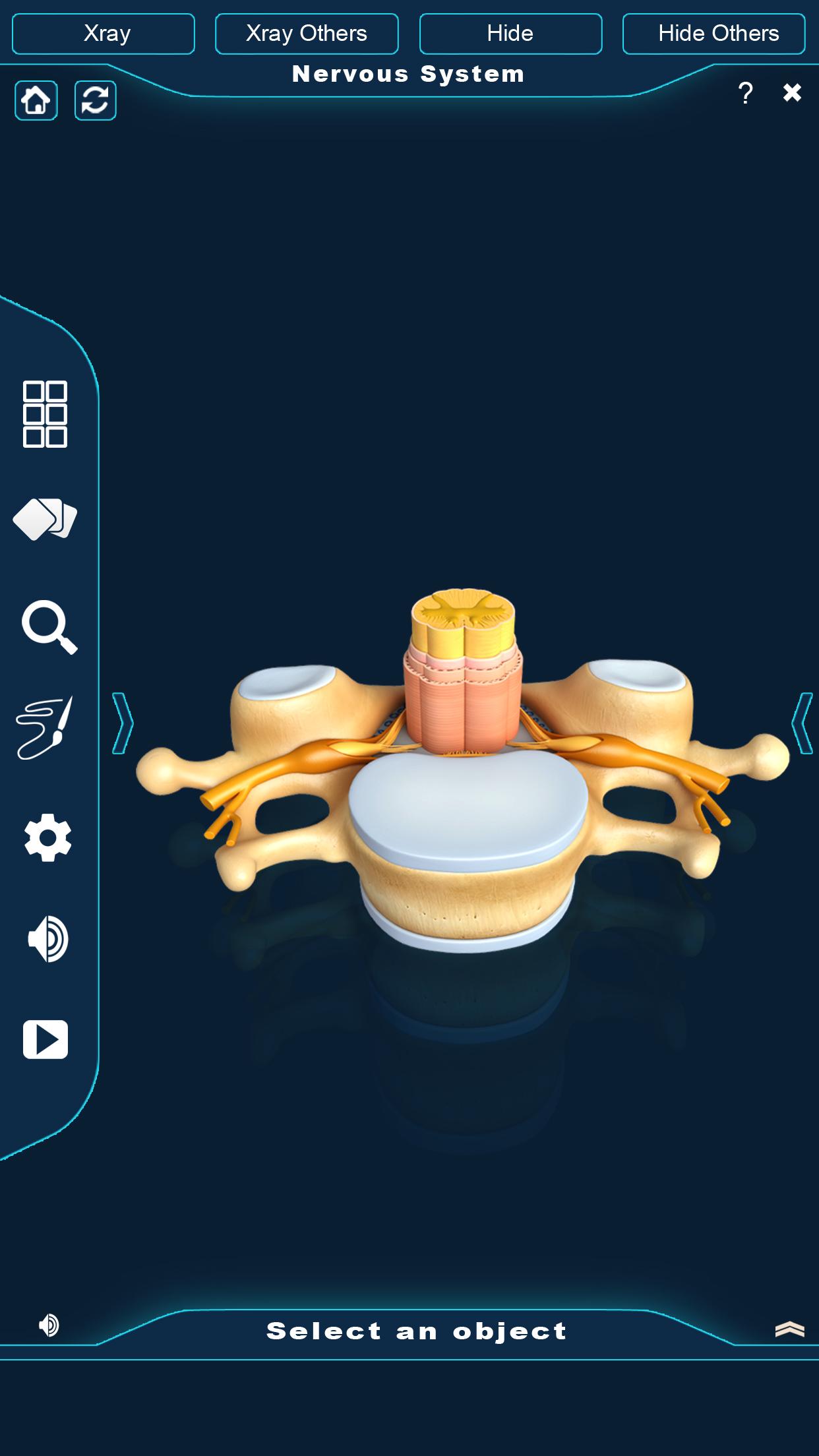 اسکرین شات 4 برنامه Nervous System Anatomy Pro.