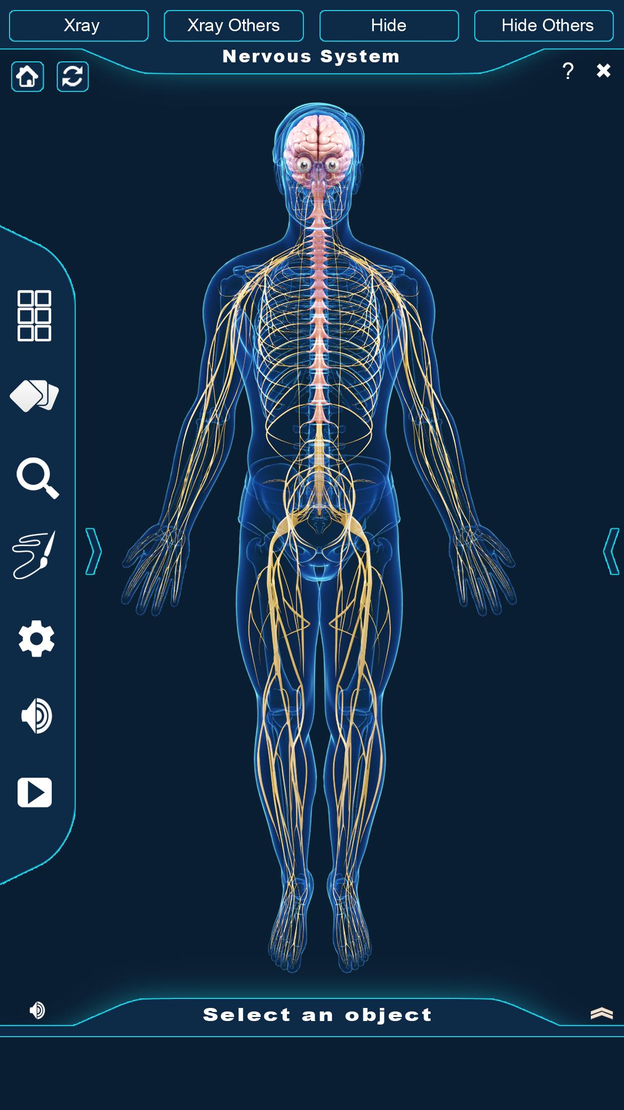 اسکرین شات 1 برنامه Nervous System Anatomy Pro.