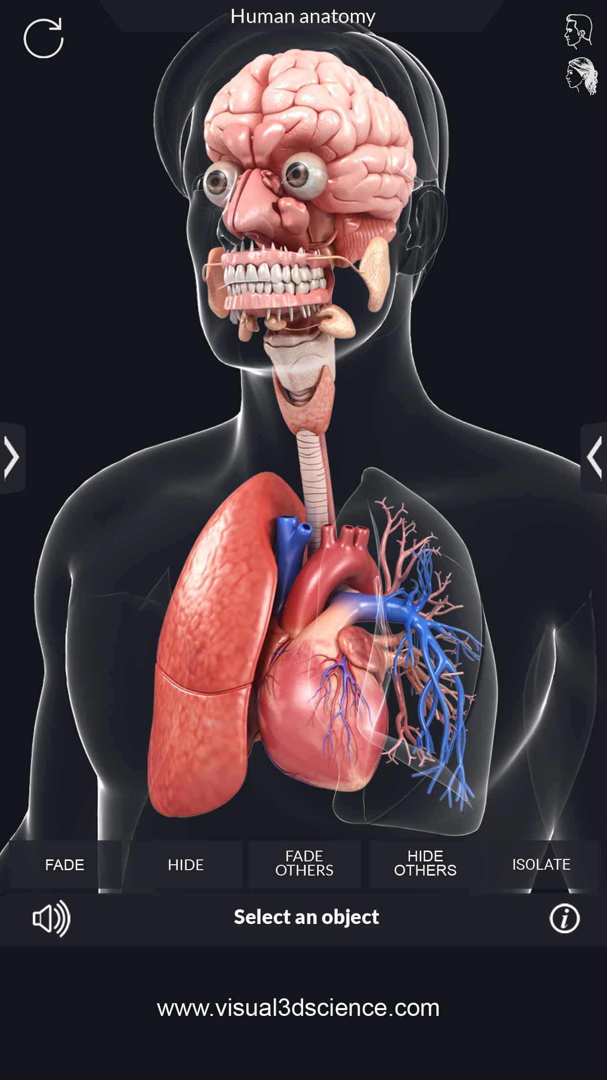 اسکرین شات 4 برنامه My Organs Anatomy