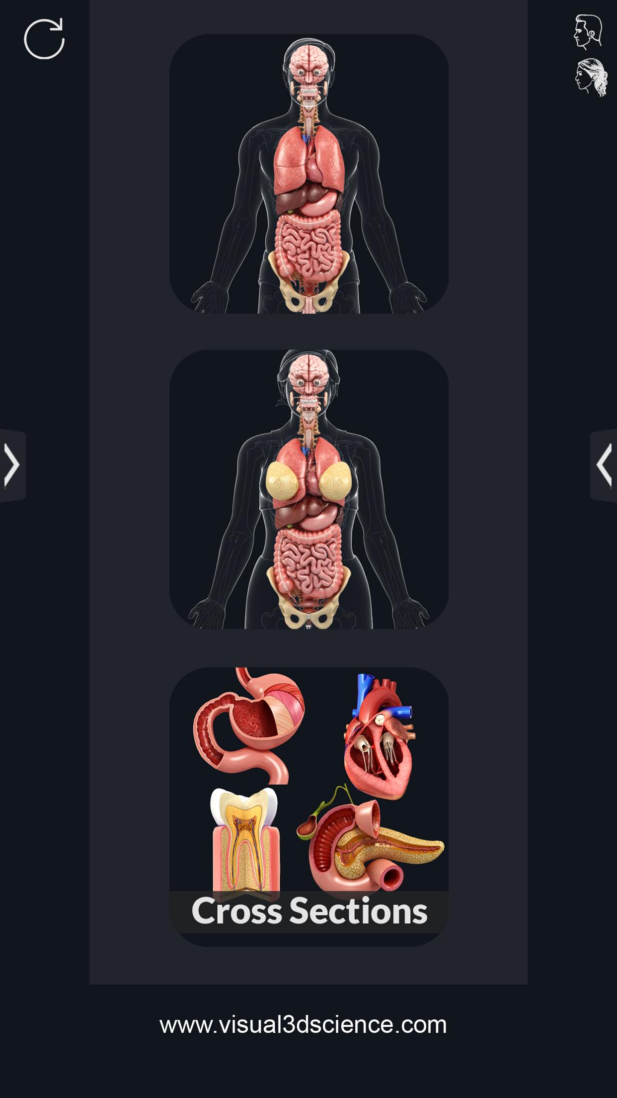 اسکرین شات 1 برنامه My Organs Anatomy