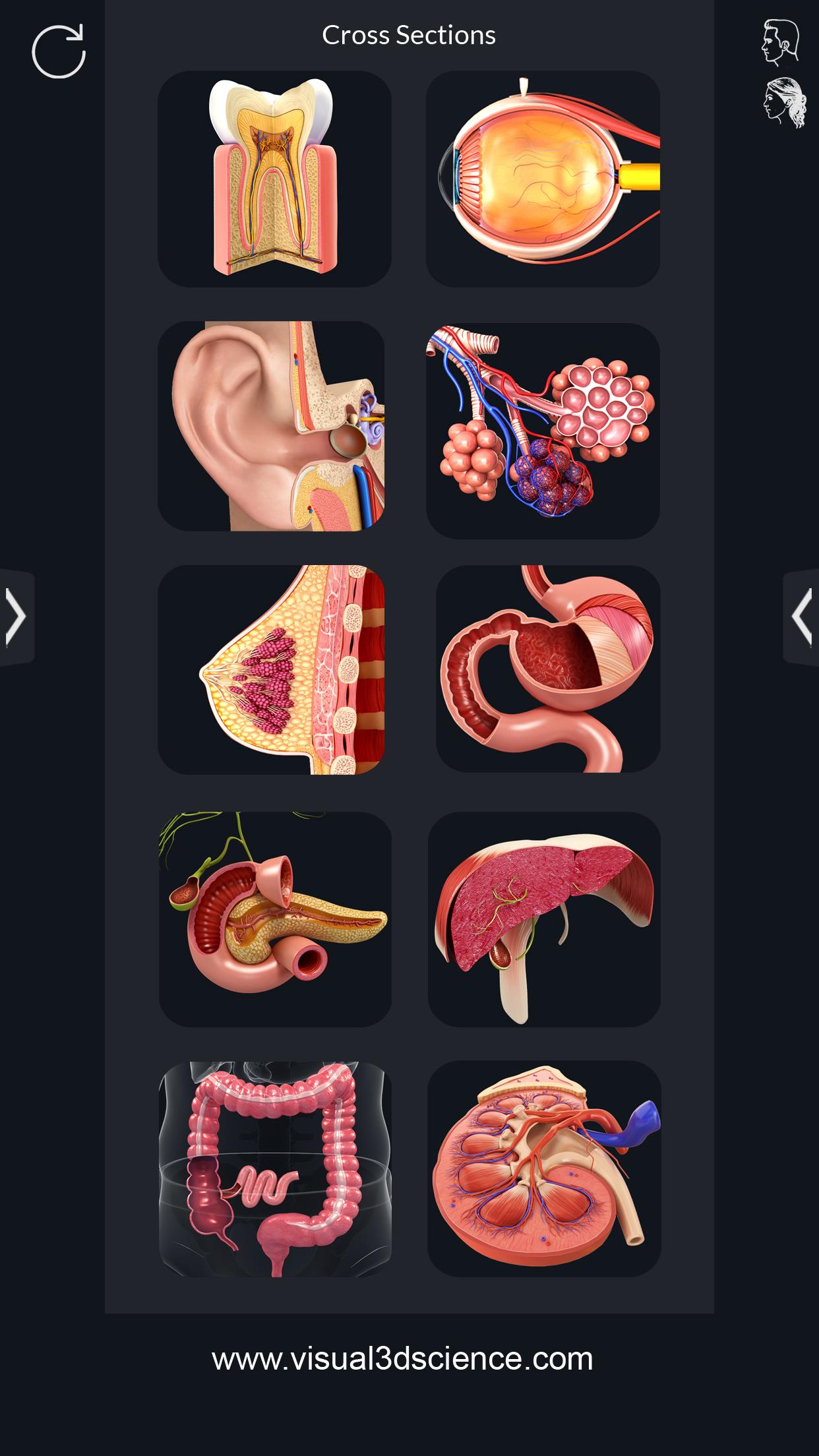 اسکرین شات 2 برنامه My Organs Anatomy