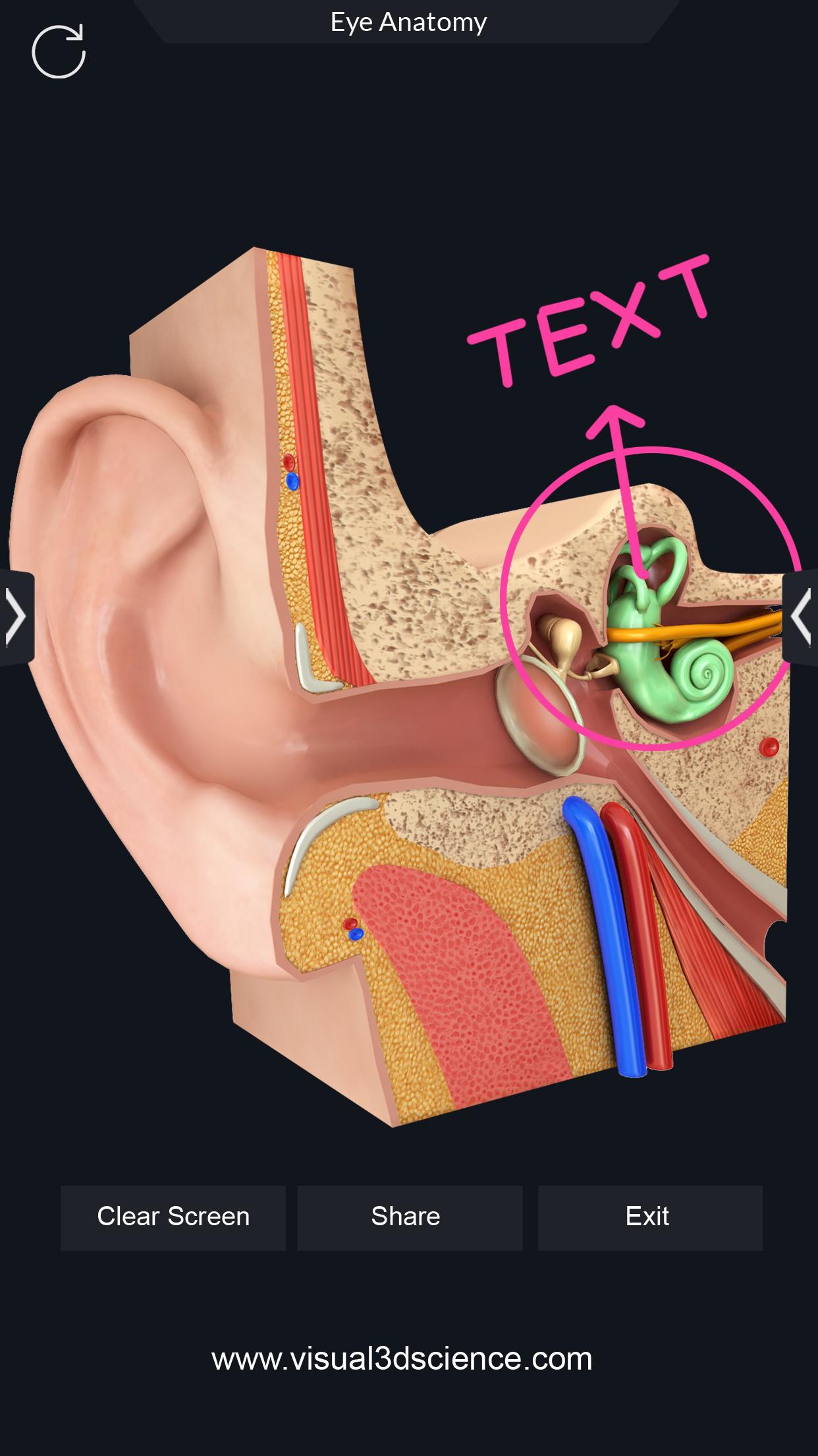 اسکرین شات 7 برنامه My Organs Anatomy