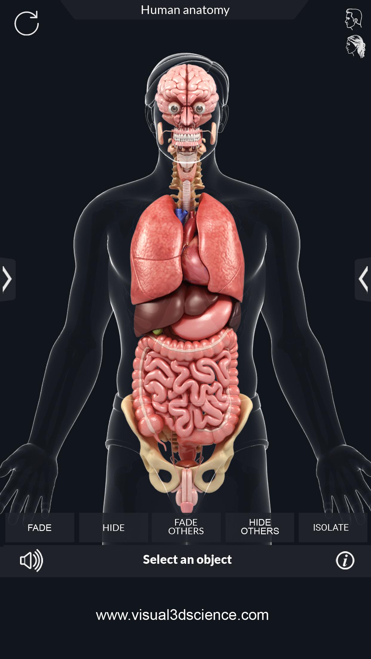 اسکرین شات 6 برنامه My Organs Anatomy
