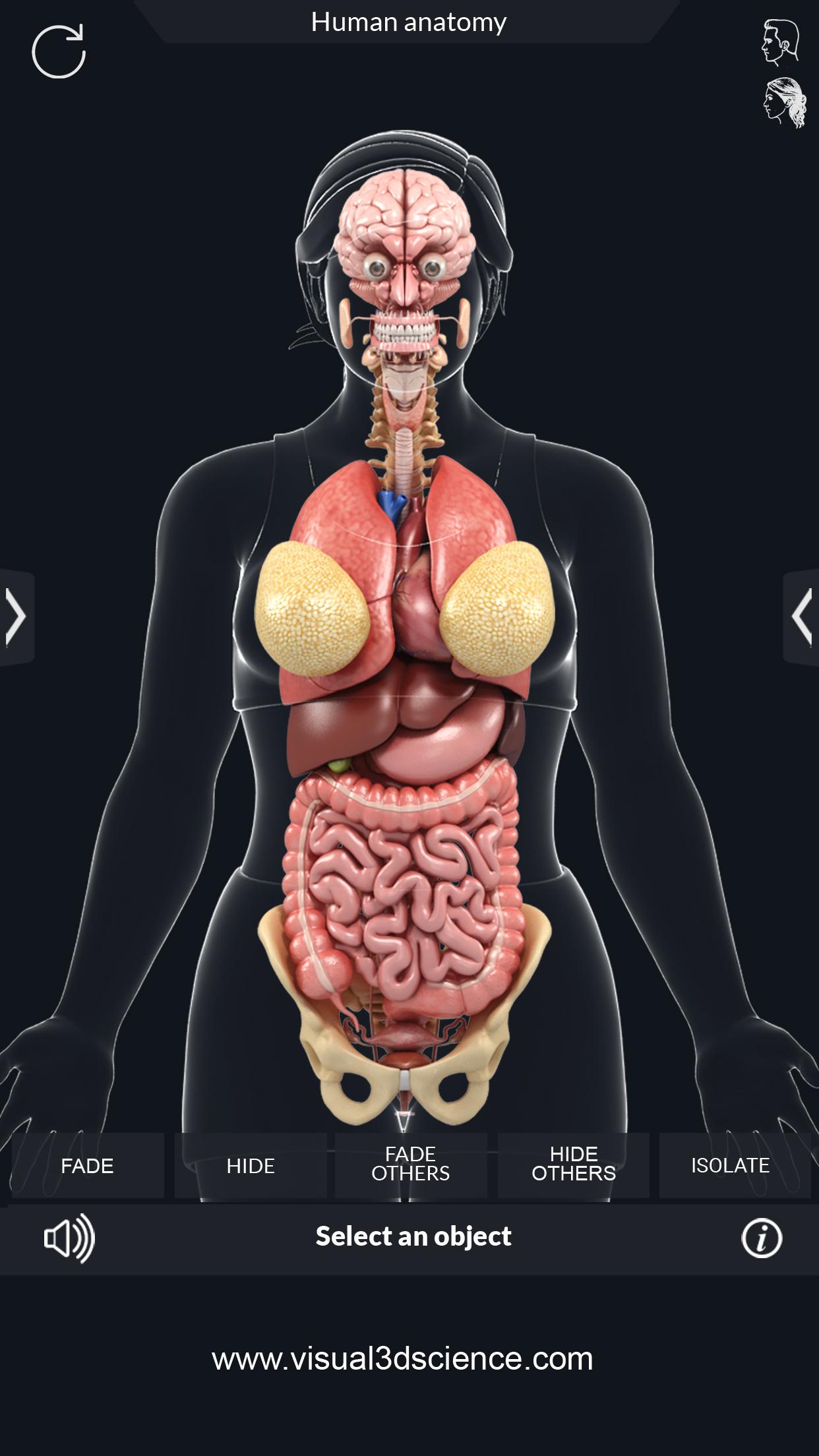 اسکرین شات 5 برنامه My Organs Anatomy