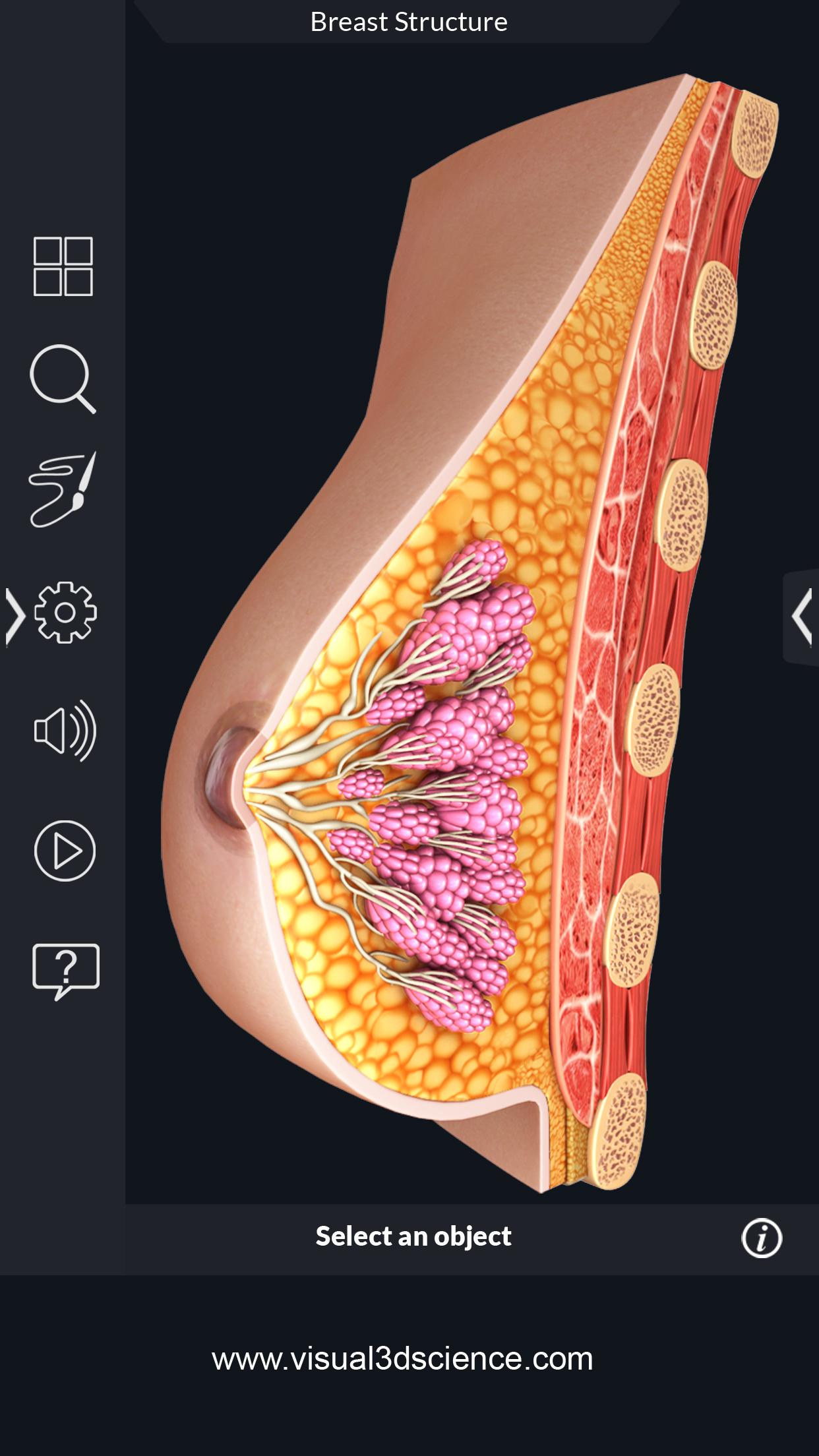 اسکرین شات 8 برنامه My Organs Anatomy