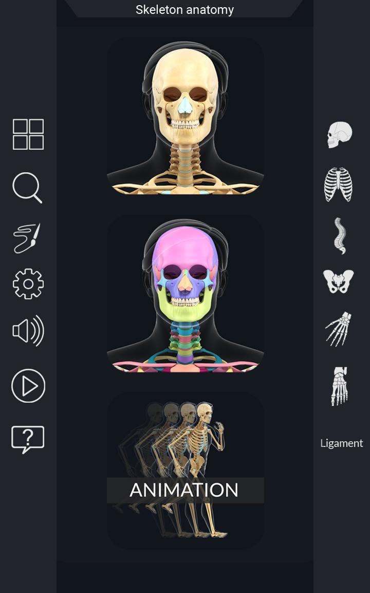 اسکرین شات 1 برنامه My Skeleton Anatomy