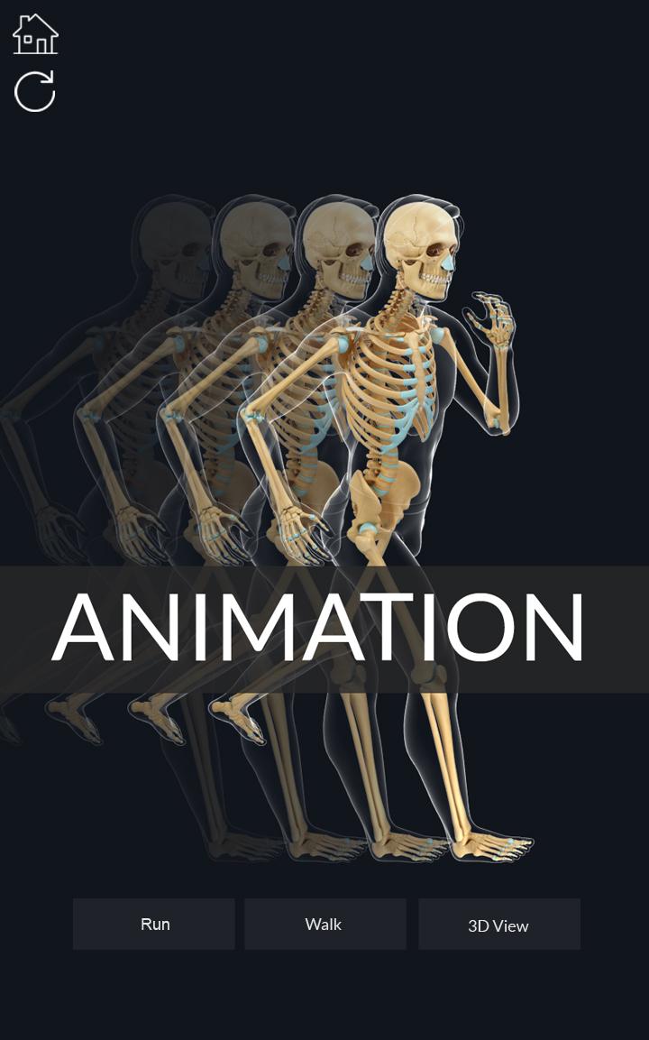 اسکرین شات 8 برنامه My Skeleton Anatomy