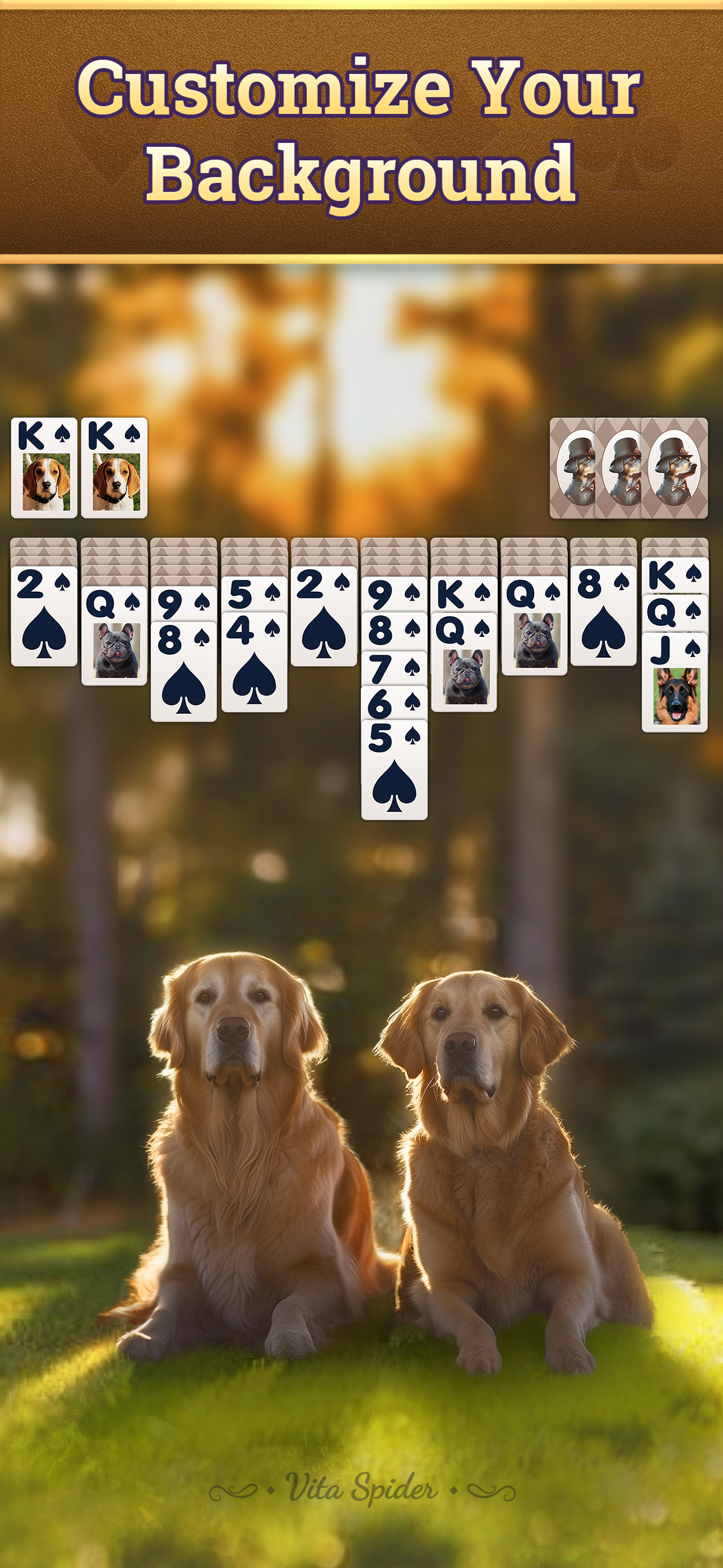 اسکرین شات 6 بازی Vita Spider Solitaire