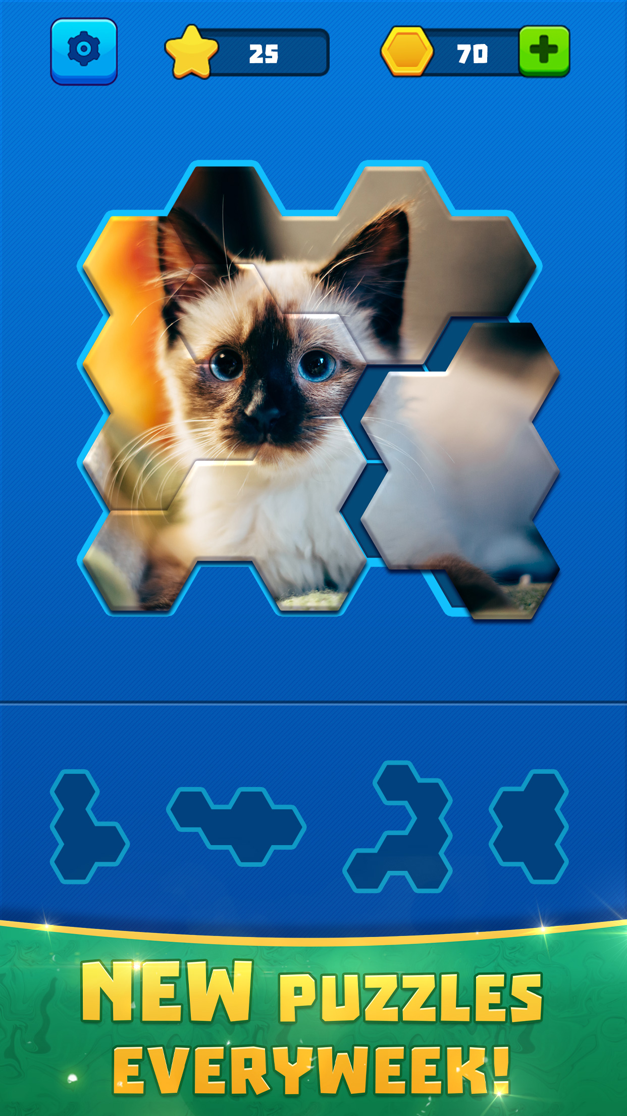 اسکرین شات 1 بازی Hex Block Jigsaw