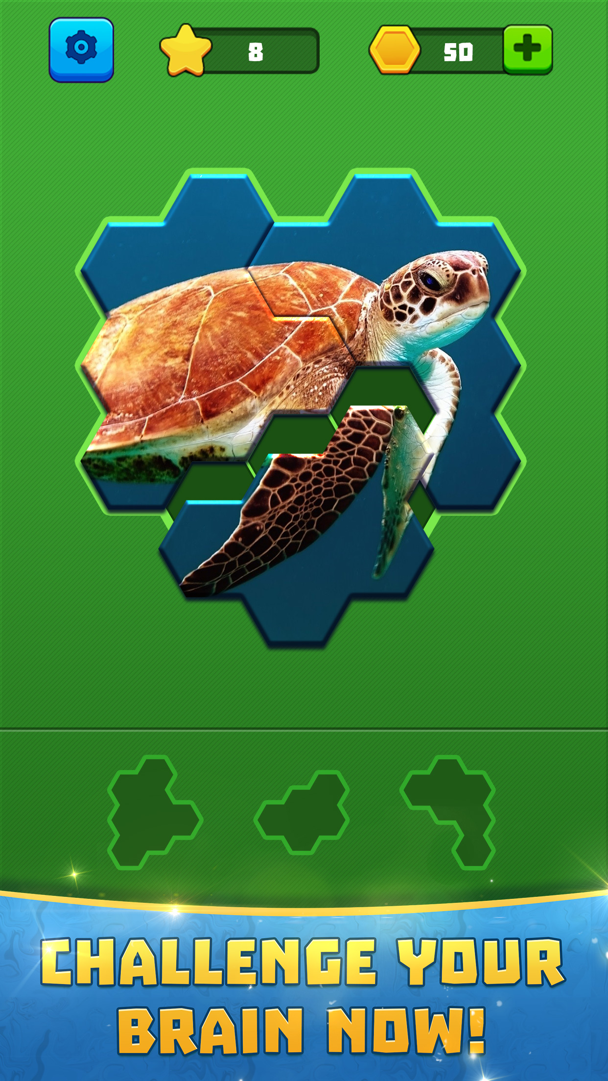 اسکرین شات 3 بازی Hex Block Jigsaw