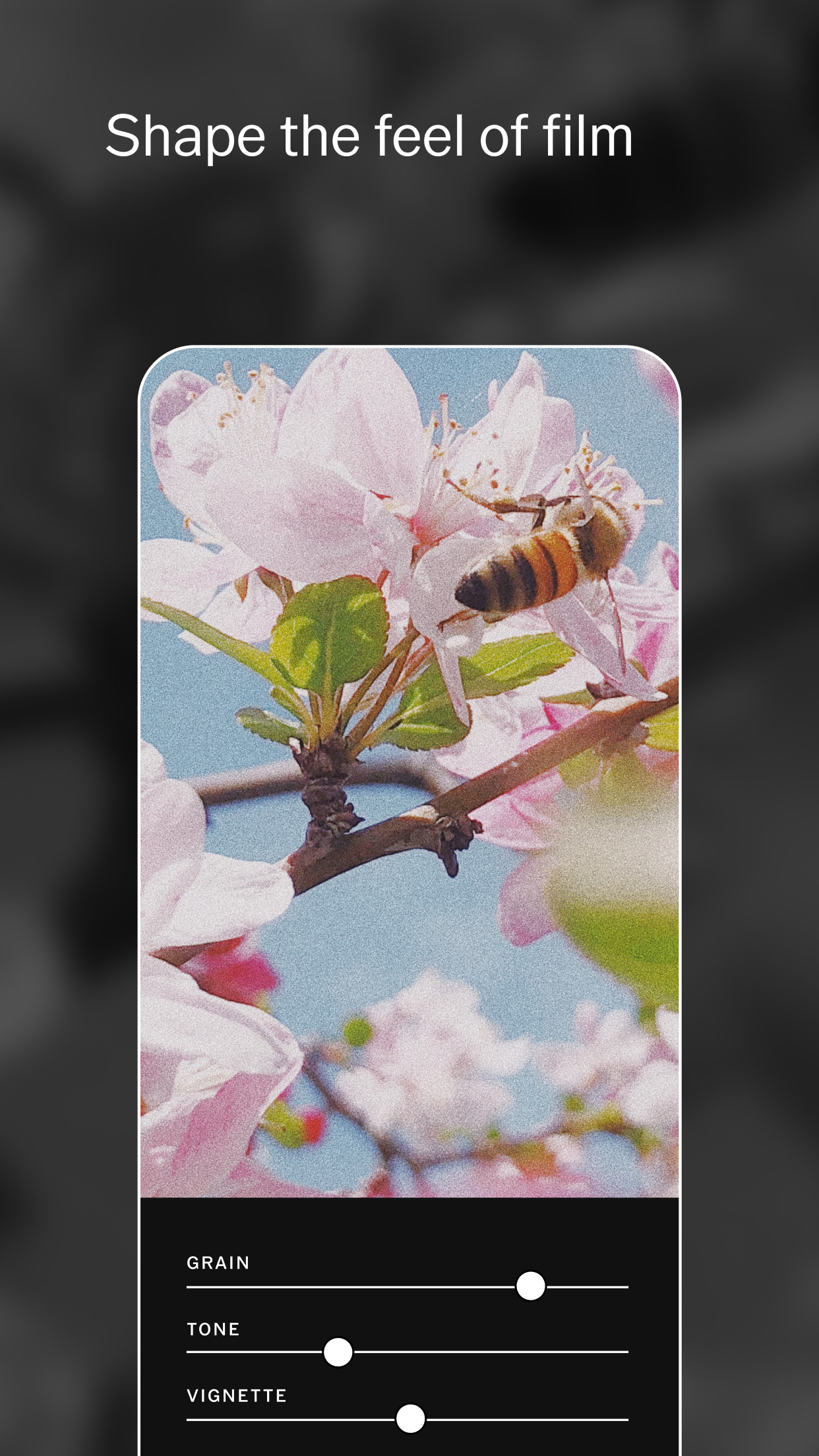 اسکرین شات 4 برنامه VSCO: Photo Editor