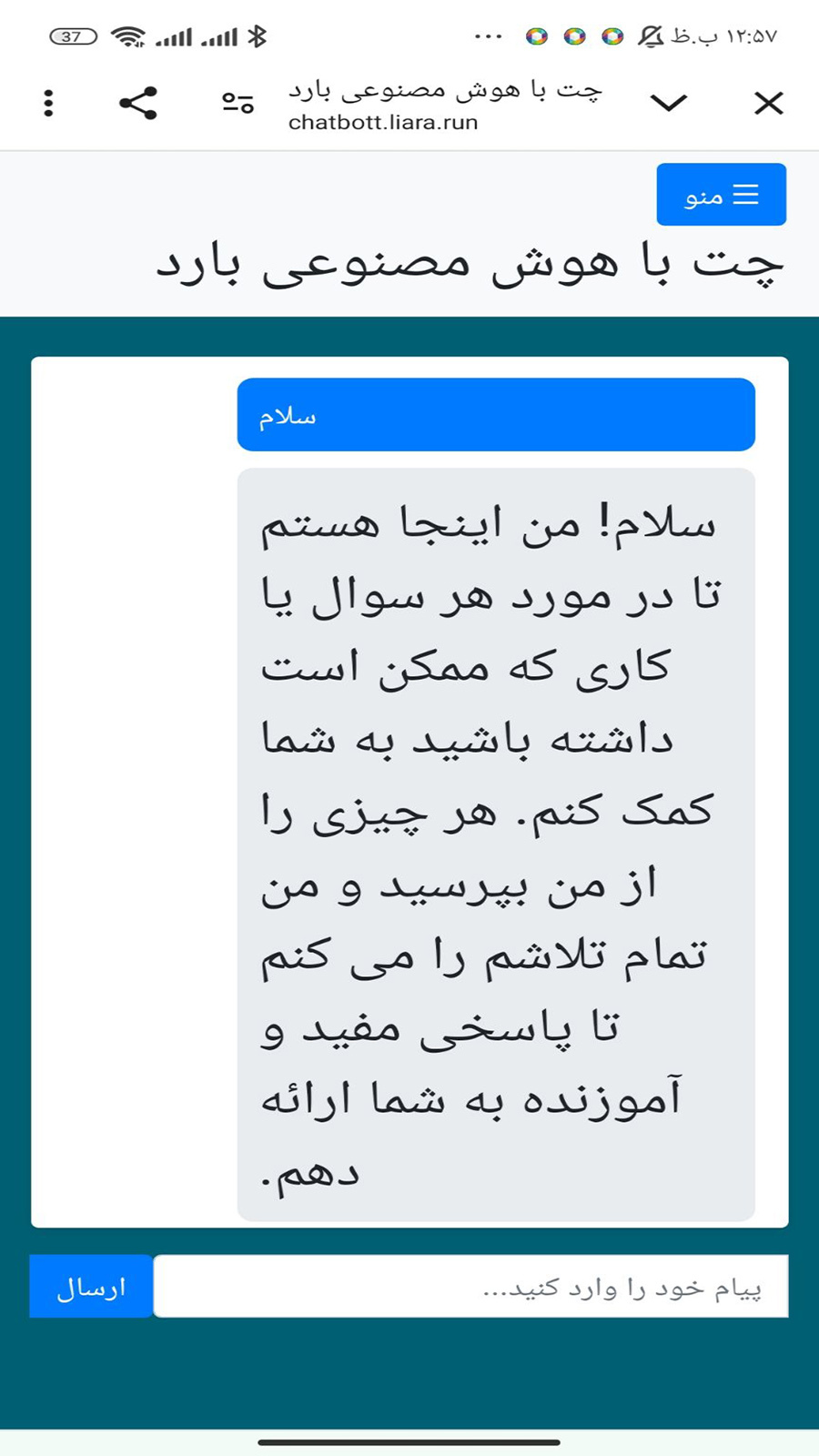 اسکرین شات 5 برنامه چت با هوش مصنوعی میربات(غیررسمی)