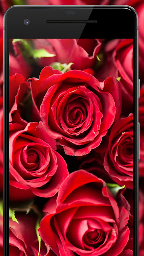 اسکرین شات 5 برنامه Cool 4k Wallpapers : WallFresh