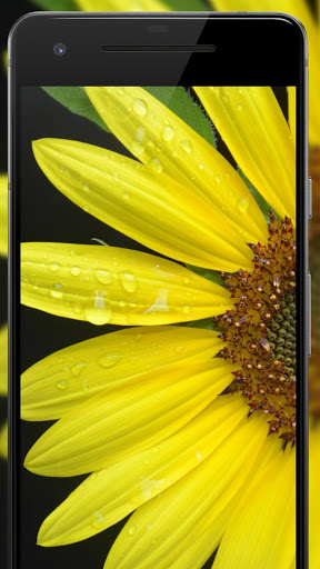 اسکرین شات 6 برنامه Cool 4k Wallpapers : WallFresh