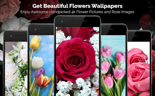 اسکرین شات 7 برنامه Cool 4k Wallpapers : WallFresh