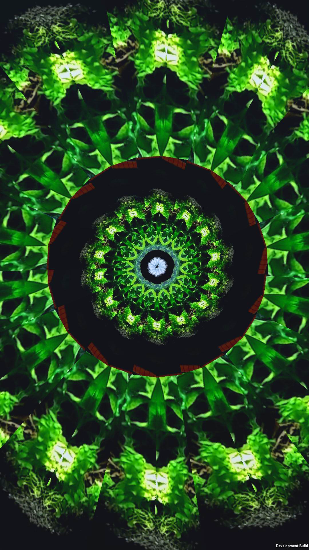 اسکرین شات 2 برنامه KaleidoSnap: Kaleidoscope Cam