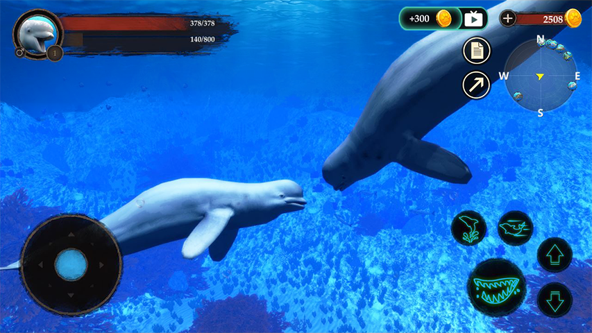 اسکرین شات 5 بازی The Beluga Whale