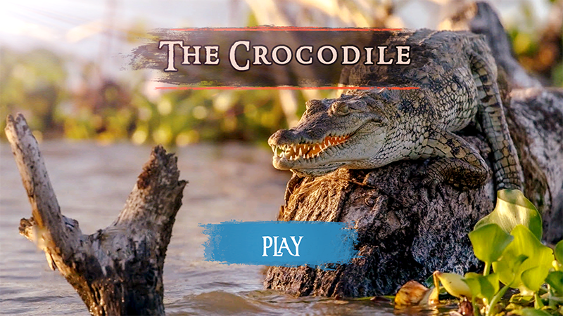 اسکرین شات 2 بازی The Crocodile