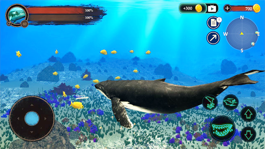 اسکرین شات 3 بازی The Humpback Whales